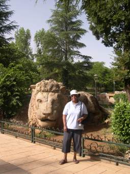 Le Lion à Ifrane